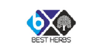 Best Herbs