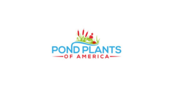 Pond Plants of America