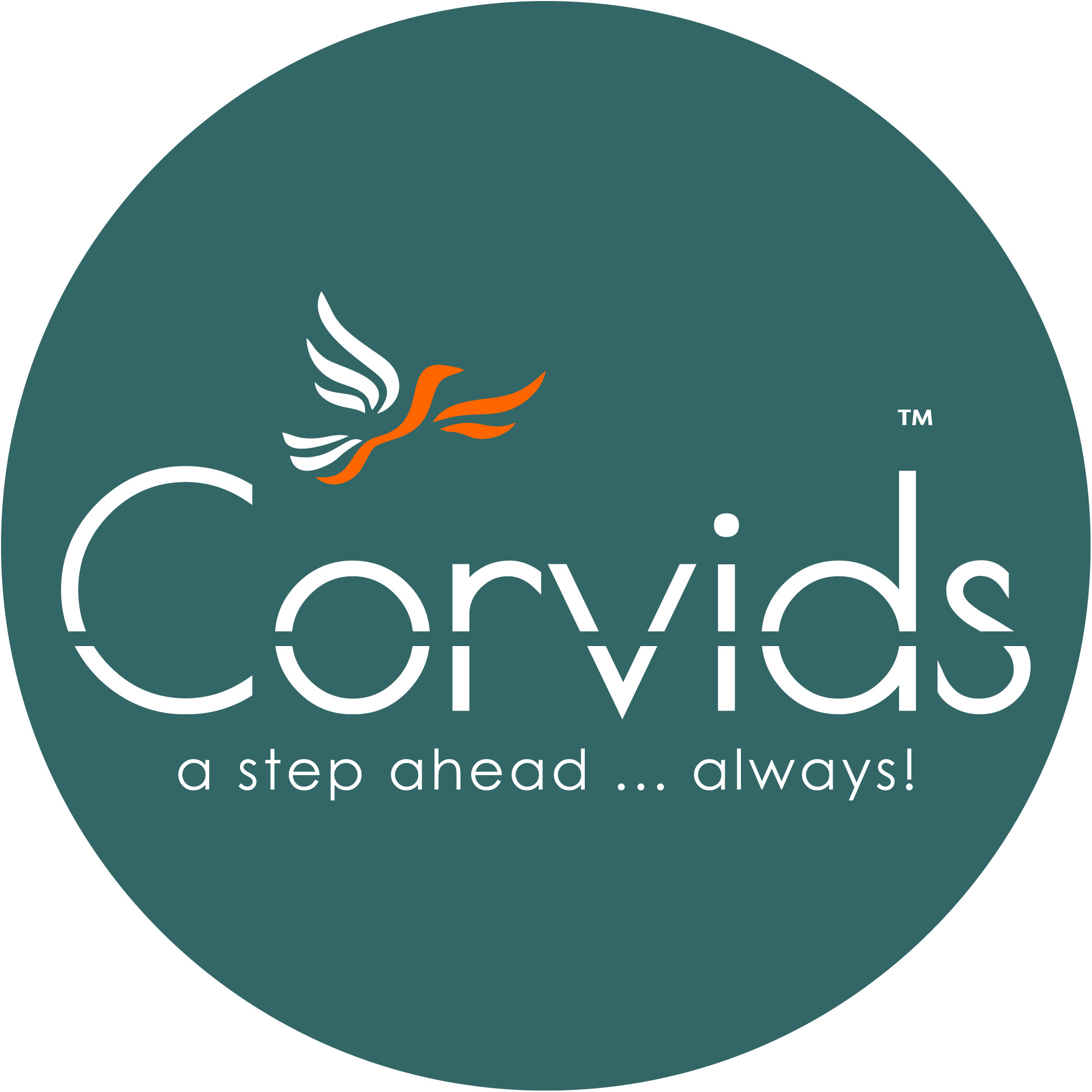 Corvids India - Leading supplier of Telescopic Ladder