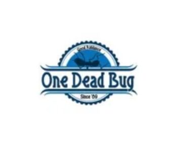 One Dead Bug Pest and Termite