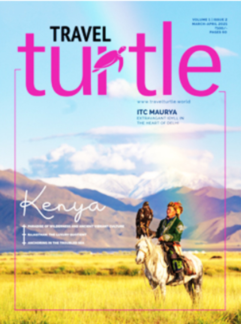 Travel Turtle World: Your Gateway to Global Adventures & Travel Insights